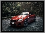 M6, Samochód, BMW